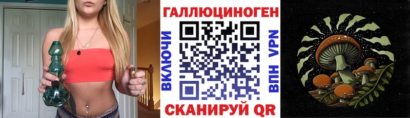 Псилоцибиновые грибы Psilocybe  Купить  Агидель 